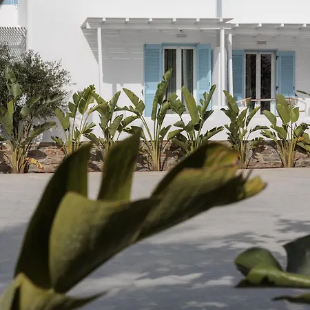 Agia Anna Living Agia Anna (Naxos)