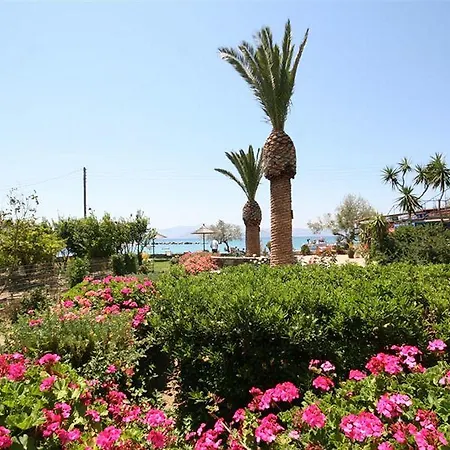 Apartment Agia Anna Living